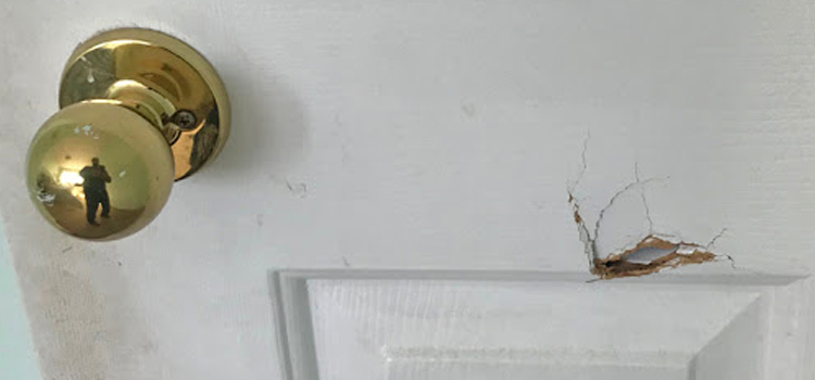 interior door hole repair Alta Sierra